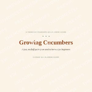 Guía rápida para cultivar pepinos / PDF para principiantes sobre la siembra de pepinos / Guía de jardinería imprimible imagen 1