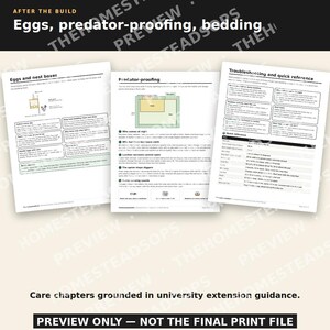 Planos para gallinero / Instrucciones paso a paso con imágenes / Gallinero y corral para 10 gallinas (para principiantes) / Manual de construcción en PDF imprimible imagen 6