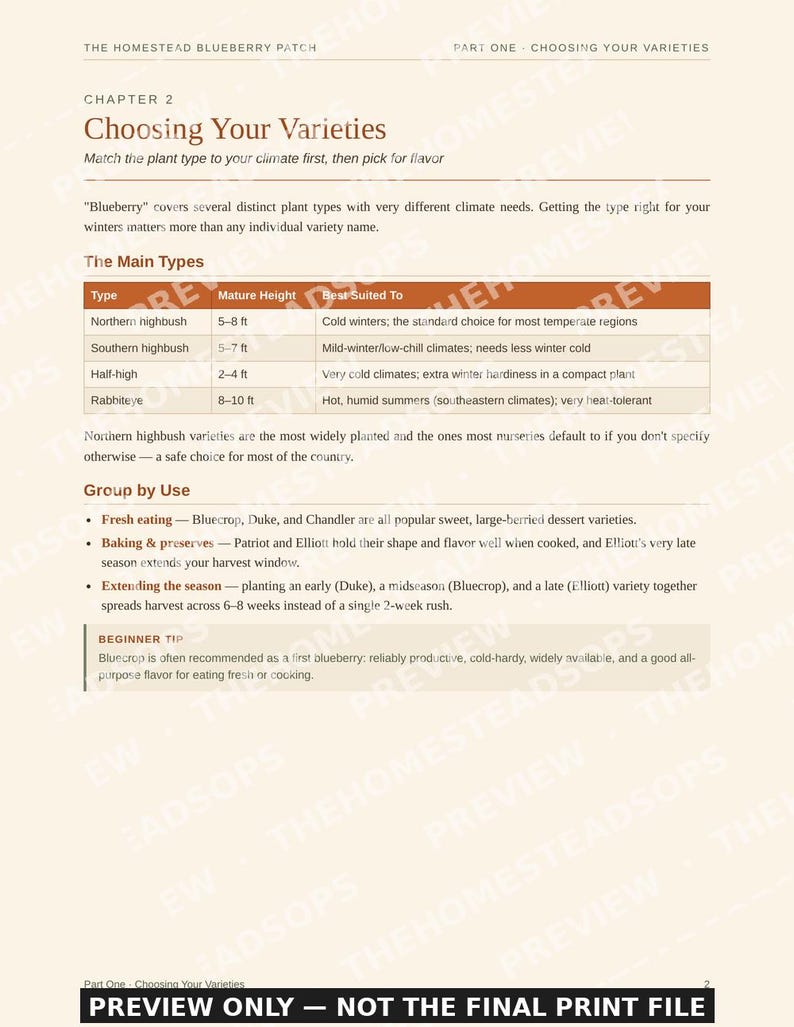 Blueberry Growing Guide for Beginners | Planting, Harvesting and Preserving Blueberries Ebook | Printable PDF image 7