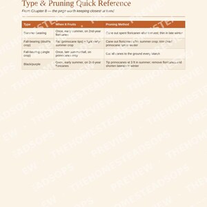 Guía para principiantes sobre el cultivo de frambuesas / Libro electrónico sobre siembra, cosecha y conservación de frambuesas / PDF imprimible imagen 3