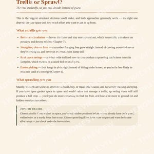 Guía rápida para cultivar pepinos / PDF para principiantes sobre la siembra de pepinos / Guía de jardinería imprimible imagen 3