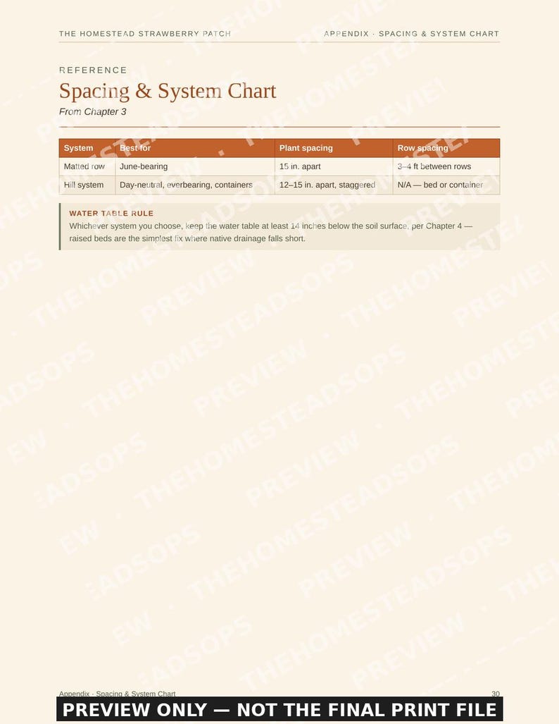 Guía para principiantes sobre el cultivo de fresas / Libro electrónico sobre siembra, cosecha y conservación de fresas / PDF imprimible imagen 3