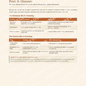 Guía para principiantes sobre el cultivo de fresas / Libro electrónico sobre siembra, cosecha y conservación de fresas / PDF imprimible imagen 8