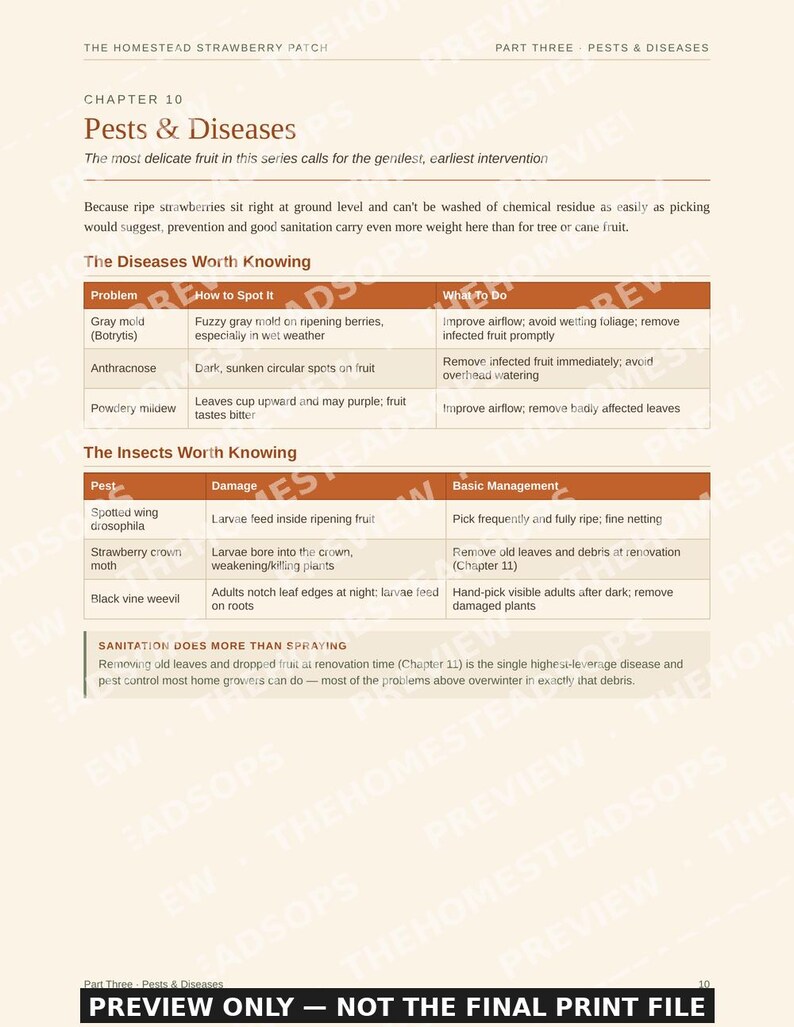Guía para principiantes sobre el cultivo de fresas / Libro electrónico sobre siembra, cosecha y conservación de fresas / PDF imprimible imagen 8
