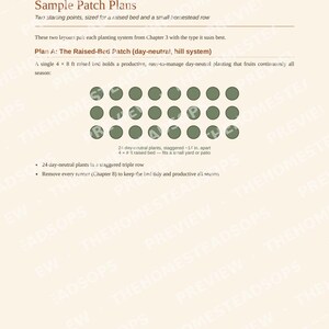 Guía para principiantes sobre el cultivo de fresas / Libro electrónico sobre siembra, cosecha y conservación de fresas / PDF imprimible imagen 5