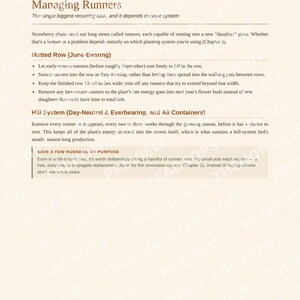 Guía para principiantes sobre el cultivo de fresas / Libro electrónico sobre siembra, cosecha y conservación de fresas / PDF imprimible imagen 9