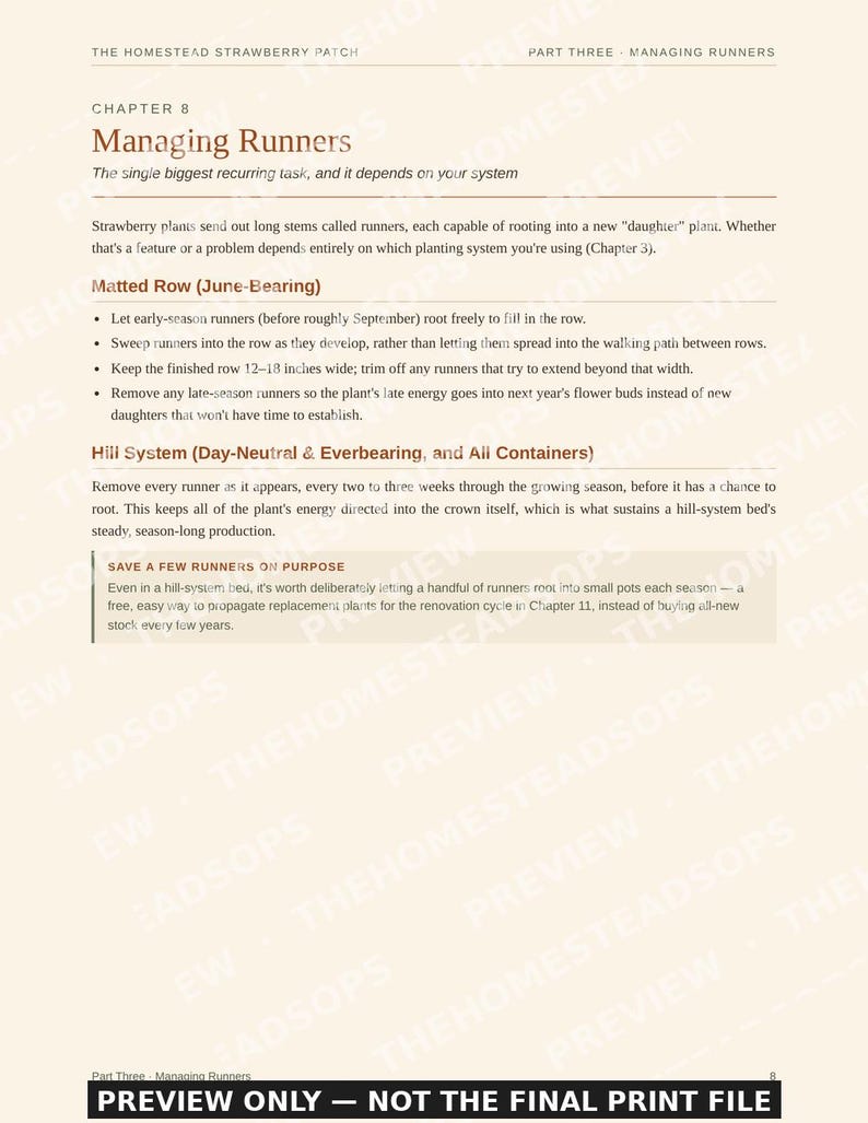 Guía para principiantes sobre el cultivo de fresas / Libro electrónico sobre siembra, cosecha y conservación de fresas / PDF imprimible imagen 9