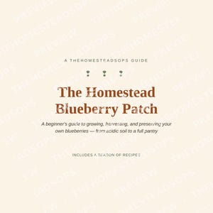 Blueberry Growing Guide for Beginners | Planting, Harvesting and Preserving Blueberries Ebook | Printable PDF image 1