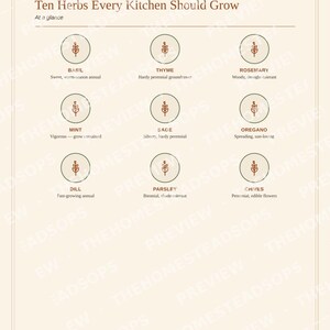 Herb Garden Guide for Beginners | Growing, Drying and Using Herbs Ebook | Printable PDF image 4
