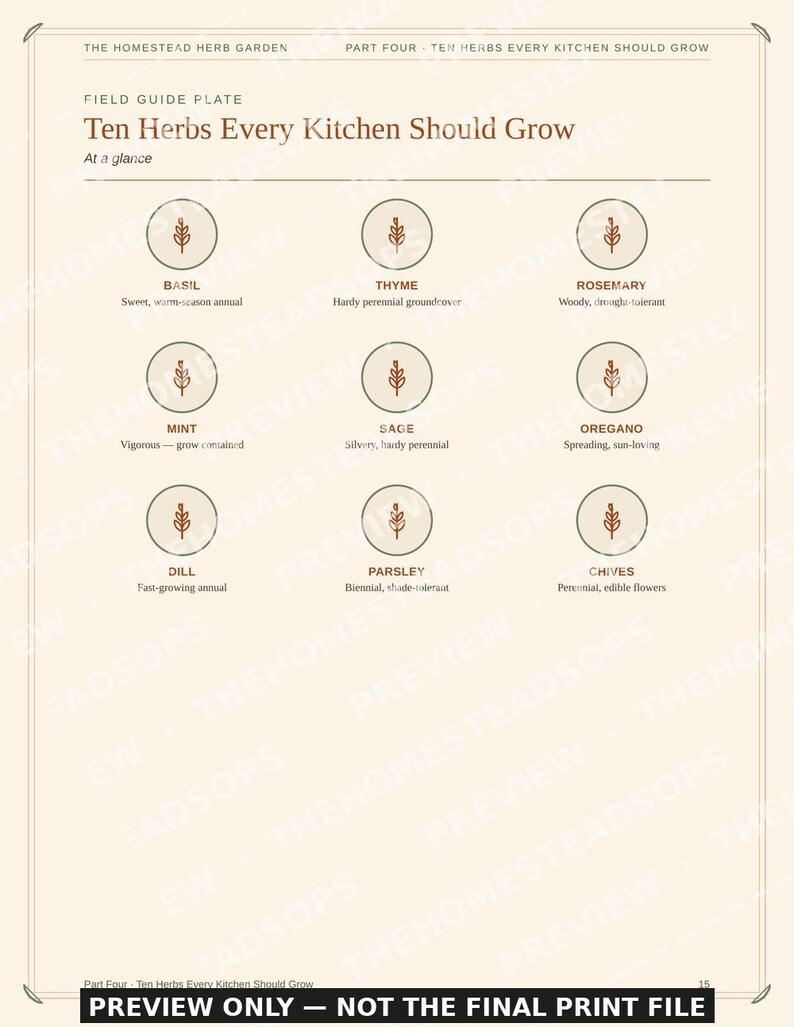 Herb Garden Guide for Beginners | Growing, Drying and Using Herbs Ebook | Printable PDF image 4