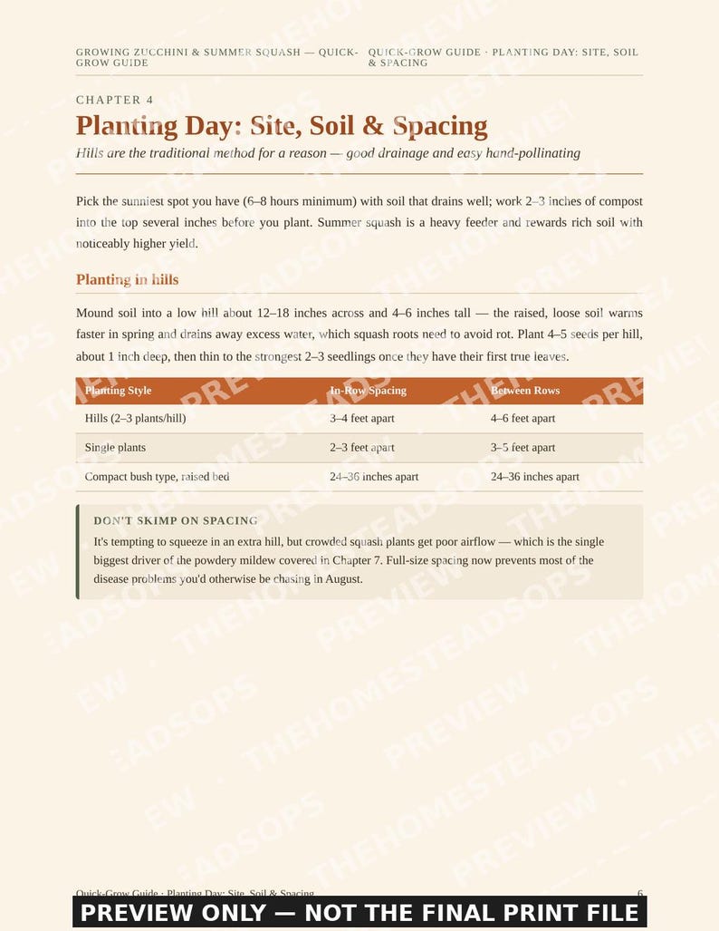 Growing Zucchini & Summer Squash Guide | Quick-Grow Beginner Printable | No-Fluff Garden PDF image 9