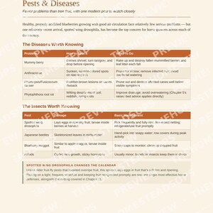 Blueberry Growing Guide for Beginners | Planting, Harvesting and Preserving Blueberries Ebook | Printable PDF image 8