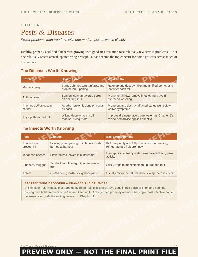 Blueberry Growing Guide for Beginners | Planting, Harvesting and Preserving Blueberries Ebook | Printable PDF image 8