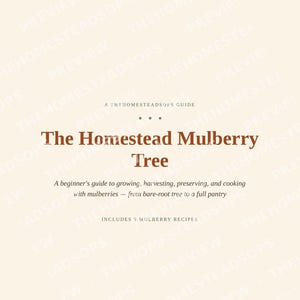 Mulberry Growing Guide | How to Grow, Harvest & Preserve Mulberries | Recipes Included | Printable PDF Ebook image 1