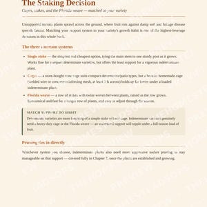 Tomato Growing Guide | How to Grow, Harvest & Preserve Tomatoes | Recipes Included | Printable PDF Ebook image 3