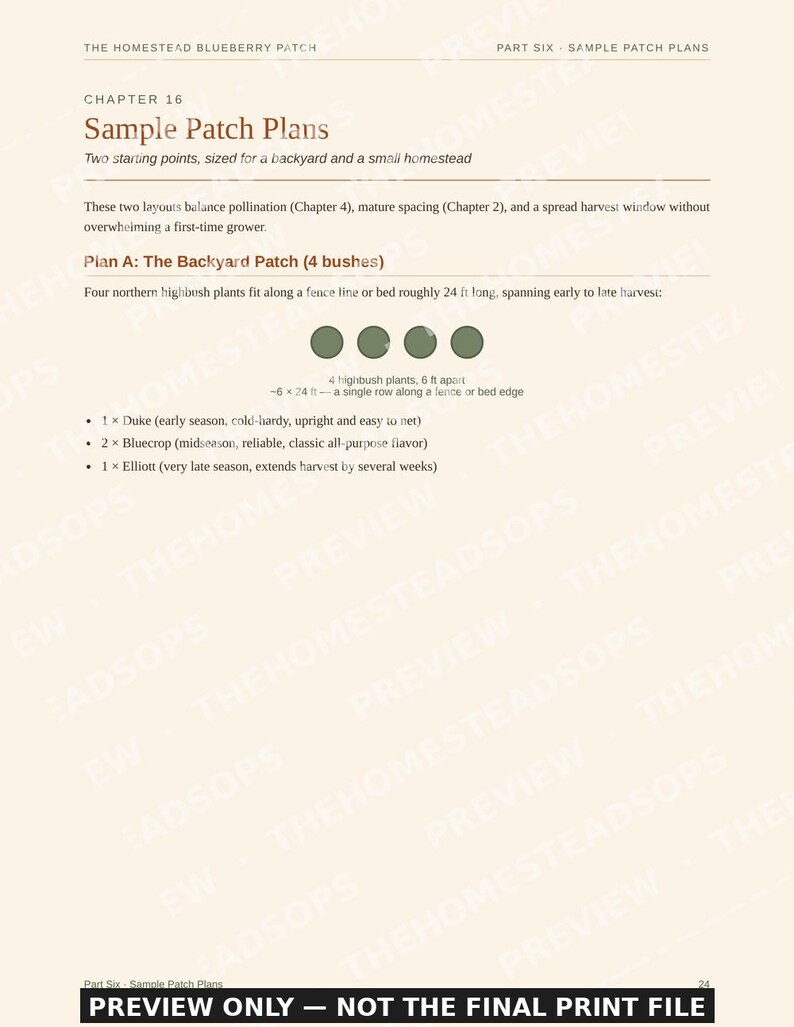 Blueberry Growing Guide for Beginners | Planting, Harvesting and Preserving Blueberries Ebook | Printable PDF image 5