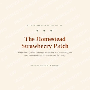 Guía para principiantes sobre el cultivo de fresas / Libro electrónico sobre siembra, cosecha y conservación de fresas / PDF imprimible imagen 1