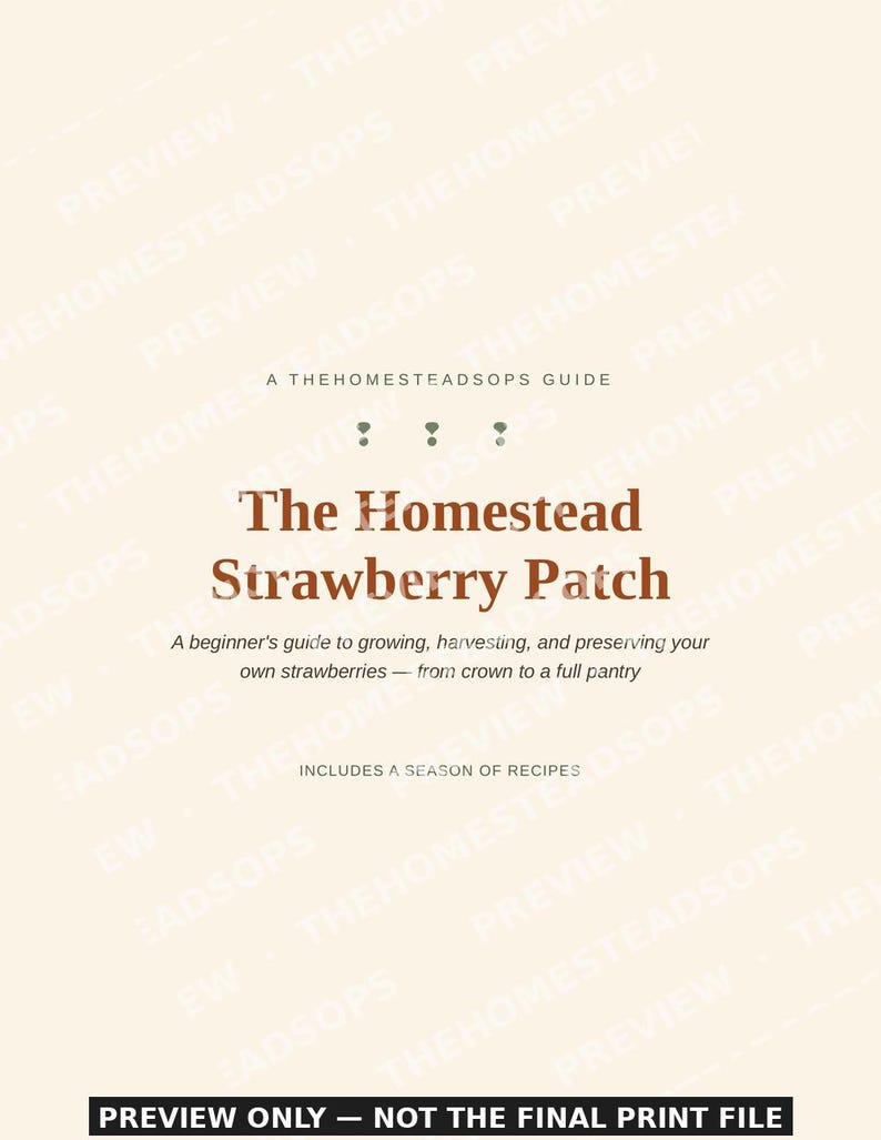 Guía para principiantes sobre el cultivo de fresas / Libro electrónico sobre siembra, cosecha y conservación de fresas / PDF imprimible imagen 1