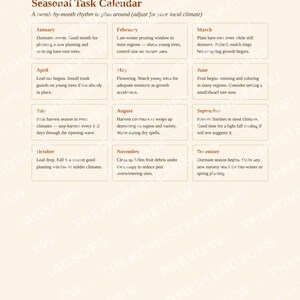 Mulberry Growing Guide | How to Grow, Harvest & Preserve Mulberries | Recipes Included | Printable PDF Ebook image 6
