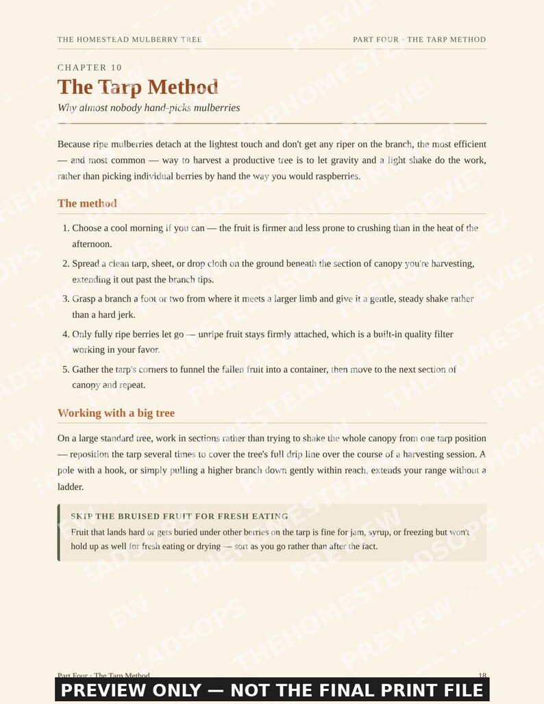 Mulberry Growing Guide | How to Grow, Harvest & Preserve Mulberries | Recipes Included | Printable PDF Ebook image 4