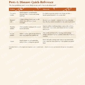 Guía rápida para cultivar pepinos / PDF para principiantes sobre la siembra de pepinos / Guía de jardinería imprimible imagen 5