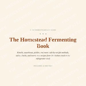 Fermenting Book | Kimchi, Sauerkraut, Pickles and Kombucha Recipes | Salt Ratio and Brine Guide | Beginner Fermentation PDF Cookbook