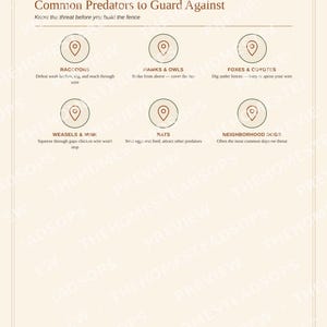 Backyard Chicken Keeping Guide for Beginners | Raising Chickens Ebook | Printable PDF image 3