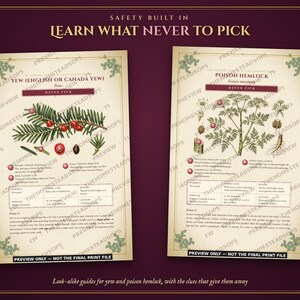 Aromatherapy Book | Homemade Herbal Salves, Oils, Candles and Hydrosols | Foraging Guide for Canada & Northern US | Grimoire PDF image 5