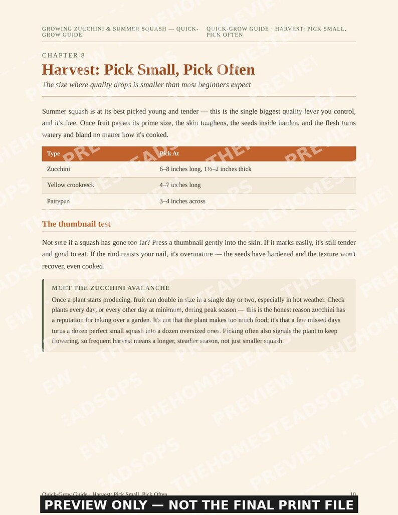 Growing Zucchini & Summer Squash Guide | Quick-Grow Beginner Printable | No-Fluff Garden PDF image 5