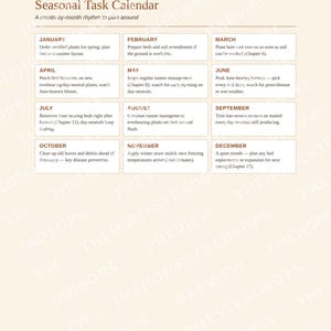 Guía para principiantes sobre el cultivo de fresas / Libro electrónico sobre siembra, cosecha y conservación de fresas / PDF imprimible imagen 6
