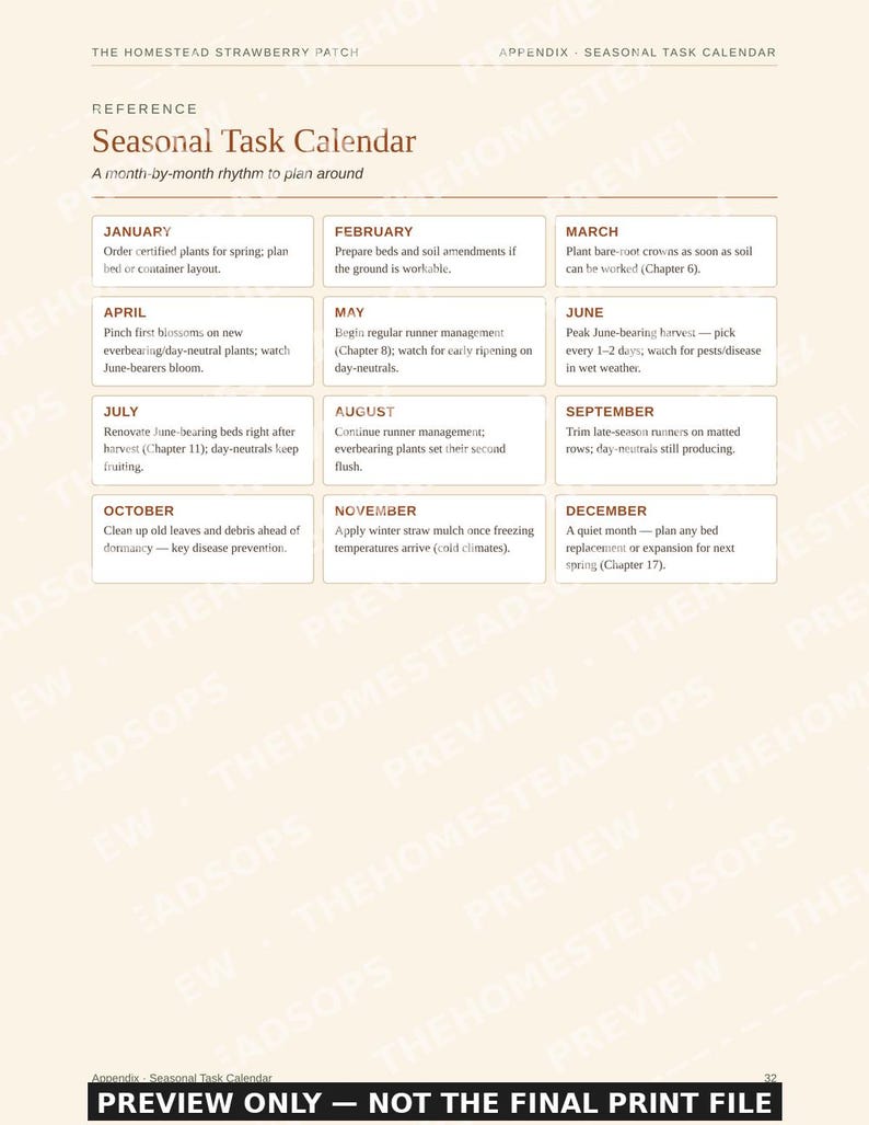 Guía para principiantes sobre el cultivo de fresas / Libro electrónico sobre siembra, cosecha y conservación de fresas / PDF imprimible imagen 6