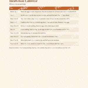 Meat Quail Guide | Raising Coturnix Quail for Meat and Eggs | Backyard Quail Housing, Hatching, Processing, Recipes | PDF Ebook image 4