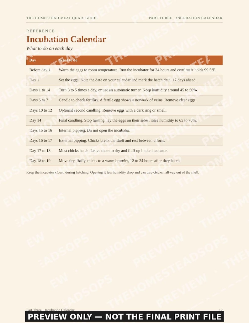 Meat Quail Guide | Raising Coturnix Quail for Meat and Eggs | Backyard Quail Housing, Hatching, Processing, Recipes | PDF Ebook image 4