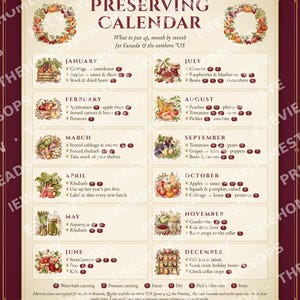 Calendario de conservación imprimible / Guía mensual de enlatado, liofilización y secado / Bonitos adornos de pared para la cocina / Tabla de cosecha estacional imagen 4