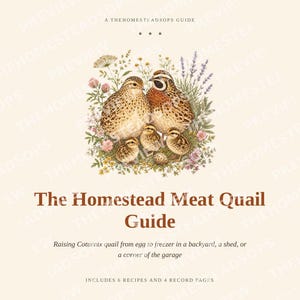 Meat Quail Guide | Raising Coturnix Quail for Meat and Eggs | Backyard Quail Housing, Hatching, Processing, Recipes | PDF Ebook image 1