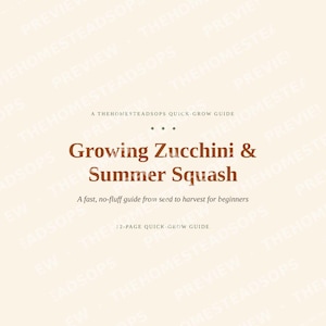 Growing Zucchini & Summer Squash Guide | Quick-Grow Beginner Printable | No-Fluff Garden PDF image 1