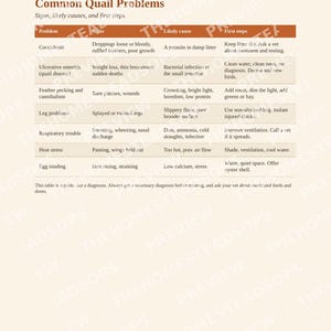 Meat Quail Guide | Raising Coturnix Quail for Meat and Eggs | Backyard Quail Housing, Hatching, Processing, Recipes | PDF Ebook image 7