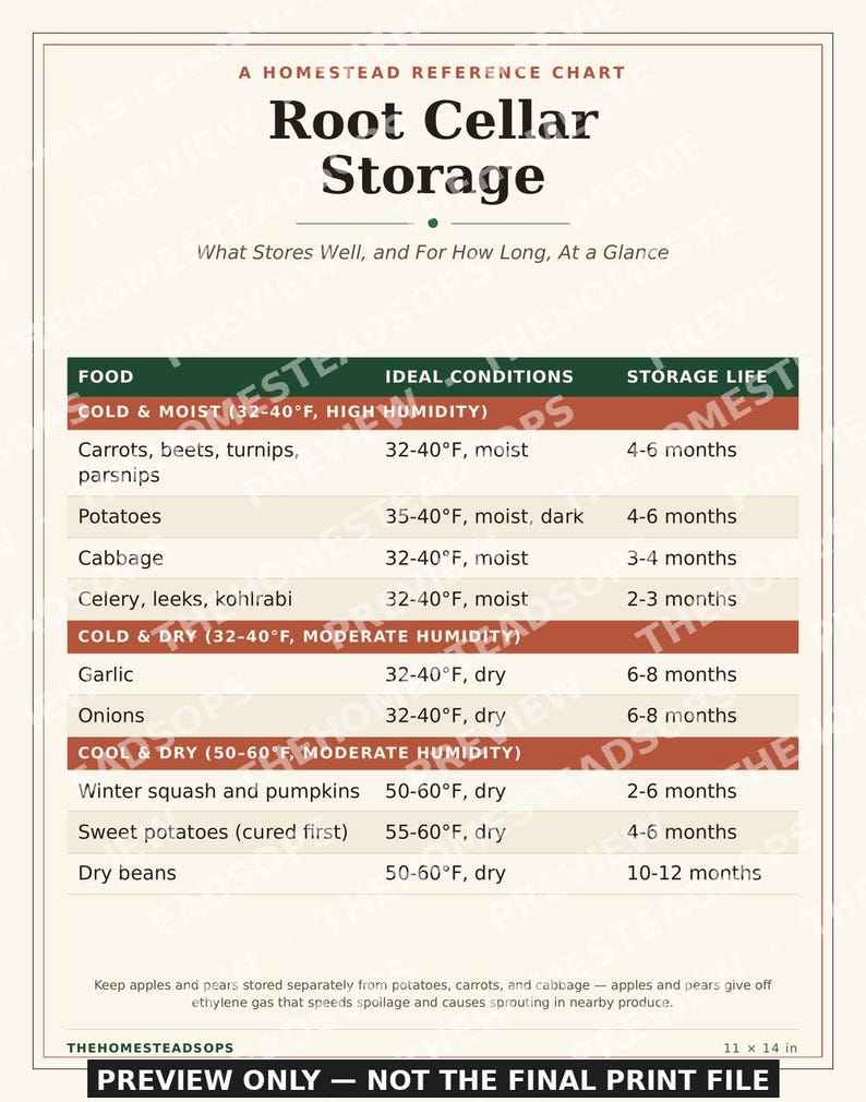 Vorratskeller-Lagerplan | Druckbare Küchenwanddeko | Übersicht zur Obst- und Gemüselagerung | Sofort-Download Bild 3