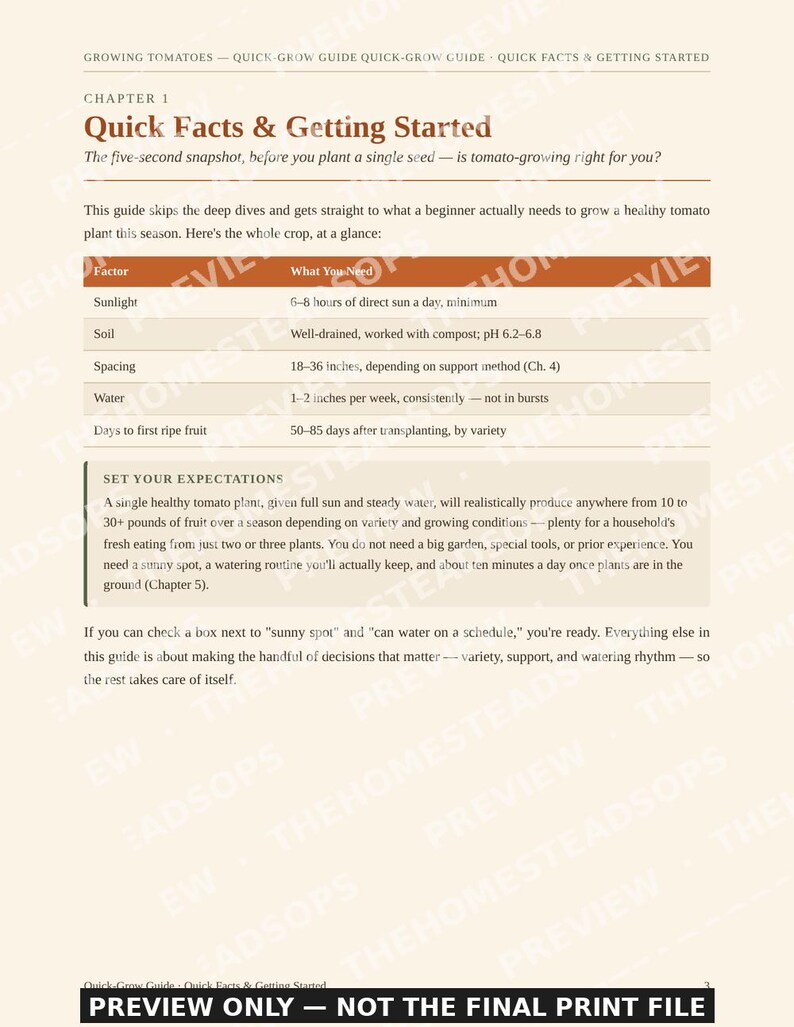 Quick-Grow Tomato Guide | Beginner Gardening PDF (12 Pages) image 2