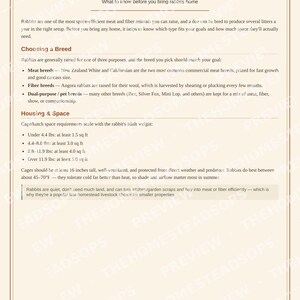 Rabbit Flock Record Book | Rabbit Keeping Log | Breeding & Health Tracker | Printable PDF image 2
