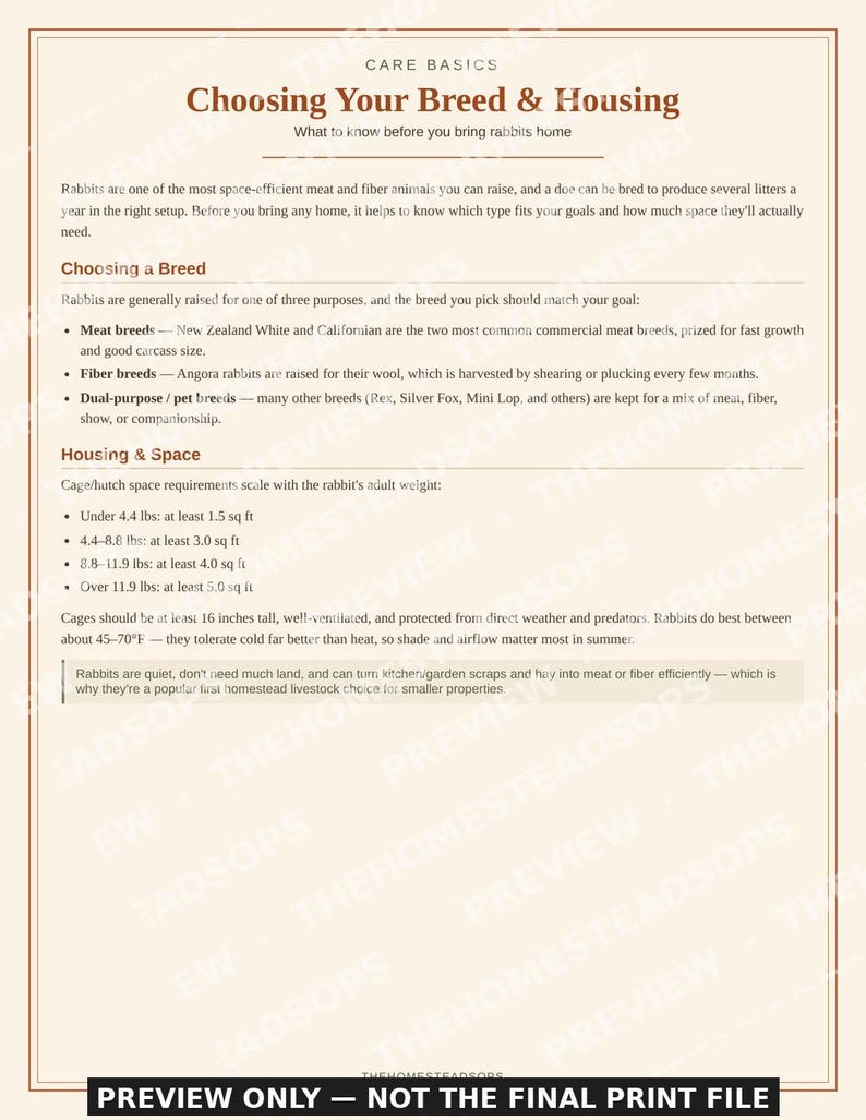Rabbit Flock Record Book | Rabbit Keeping Log | Breeding & Health Tracker | Printable PDF image 2
