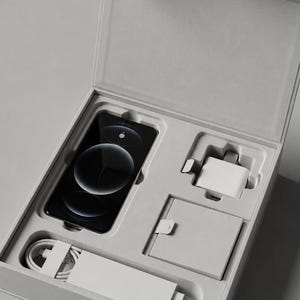 Può includere: Una scatola rettangolare grigio chiaro contenente uno smartphone nero con modulo fotocamera circolare, un alimentatore bianco, un cavo di ricarica bianco e una custodia quadrata bianca, organizzati in scomparti sagomati.
