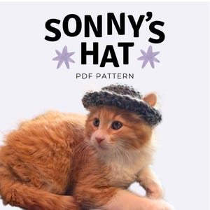 Sonny’s Hat Crochet Pattern PDF