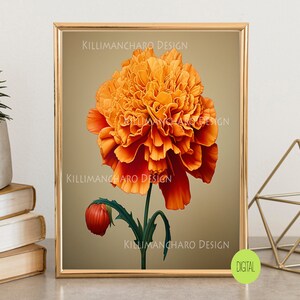 Arte de pared de caléndula / Arte de pared con flores / Arte de pared vintage / Decoración de pared antigua / Arte de pared colorido / Descarga digital