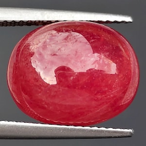 May include: A polished oval-shaped red gemstone with a smooth cabochon cut. The stone displays a vibrant crimson hue with internal natural inclusions and a glossy surface, held securely between the metal tips of a pair of silver tweezers.
