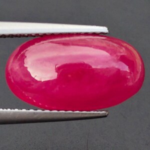 May include: A vibrant, oval-shaped, cabochon-cut gemstone with a deep, saturated pinkish-red color. The stone features a smooth, polished, and reflective surface that catches the light, held securely by a pair of silver-toned metal tweezers.