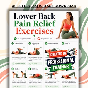 May include: A digital instructional poster titled Lower Back Pain Relief Exercises featuring a person in a red sports bra and olive green leggings demonstrating eight numbered movements with text instructions and a Created by Professional Trainer badge.