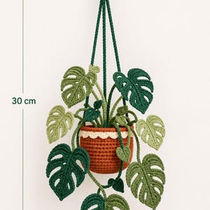 Könnte beinhalten: Eine gehäkelte Hängepflanze mit einem terrakottafarbenen Topf mit weißem, gewelltem Rand, die mehrere Monstera-Blätter in verschiedenen Grüntönen enthält. Die Pflanze ist an dunkelgrünen Kordeln aufgehängt und misst 30 cm in der Gesamthöhe.