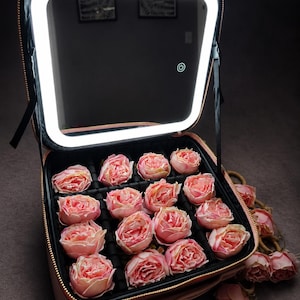 May include: A square, pink, zippered travel makeup case with a built-in, rectangular LED-lit mirror. The interior features black dividers holding fifteen individual, light pink artificial rose heads. A power button icon is visible on the mirror.