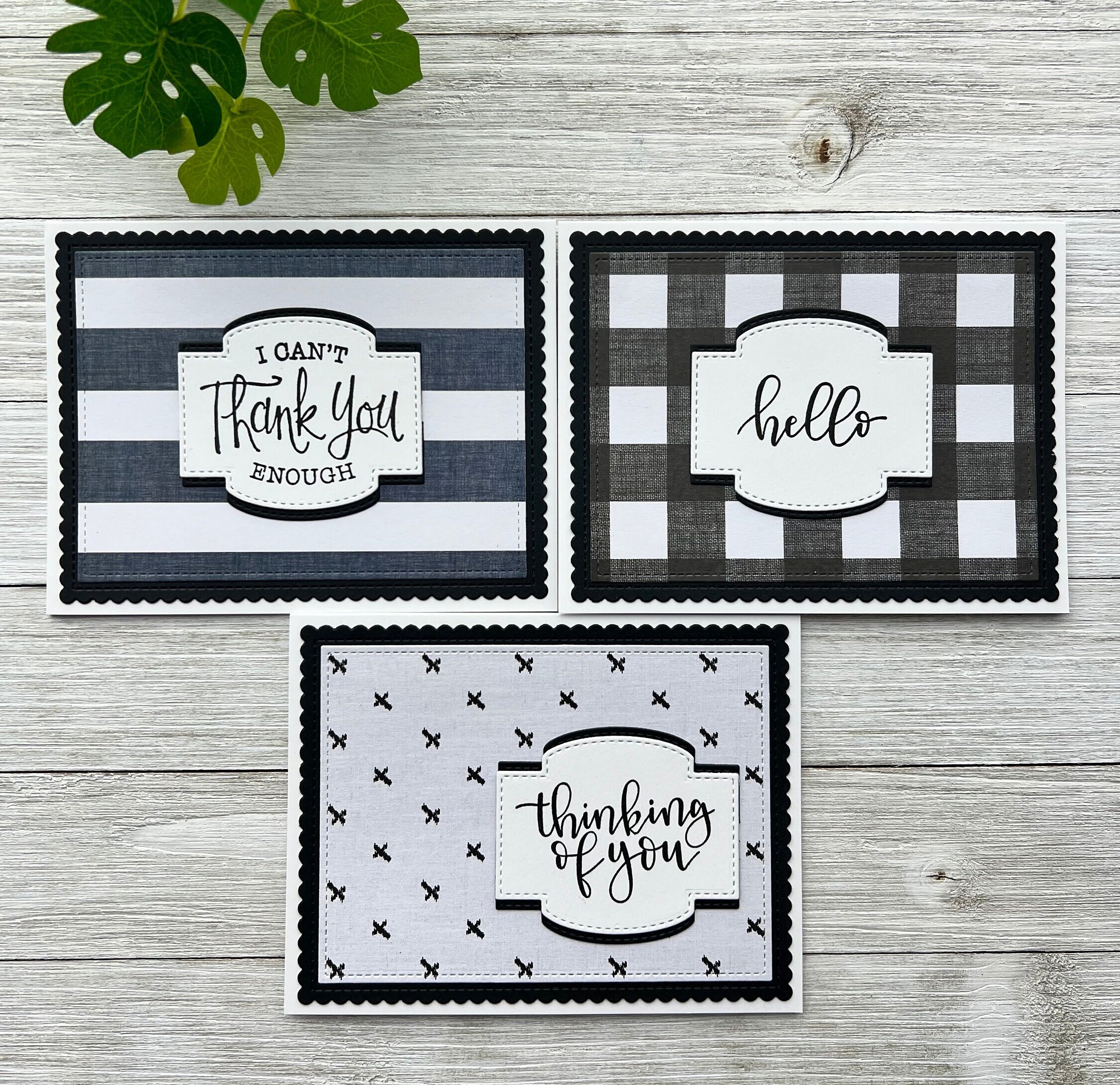 Set of 6 ~ Assorted Note Cards ~ Thank You ~ Birthday ~ Thinking of You ...